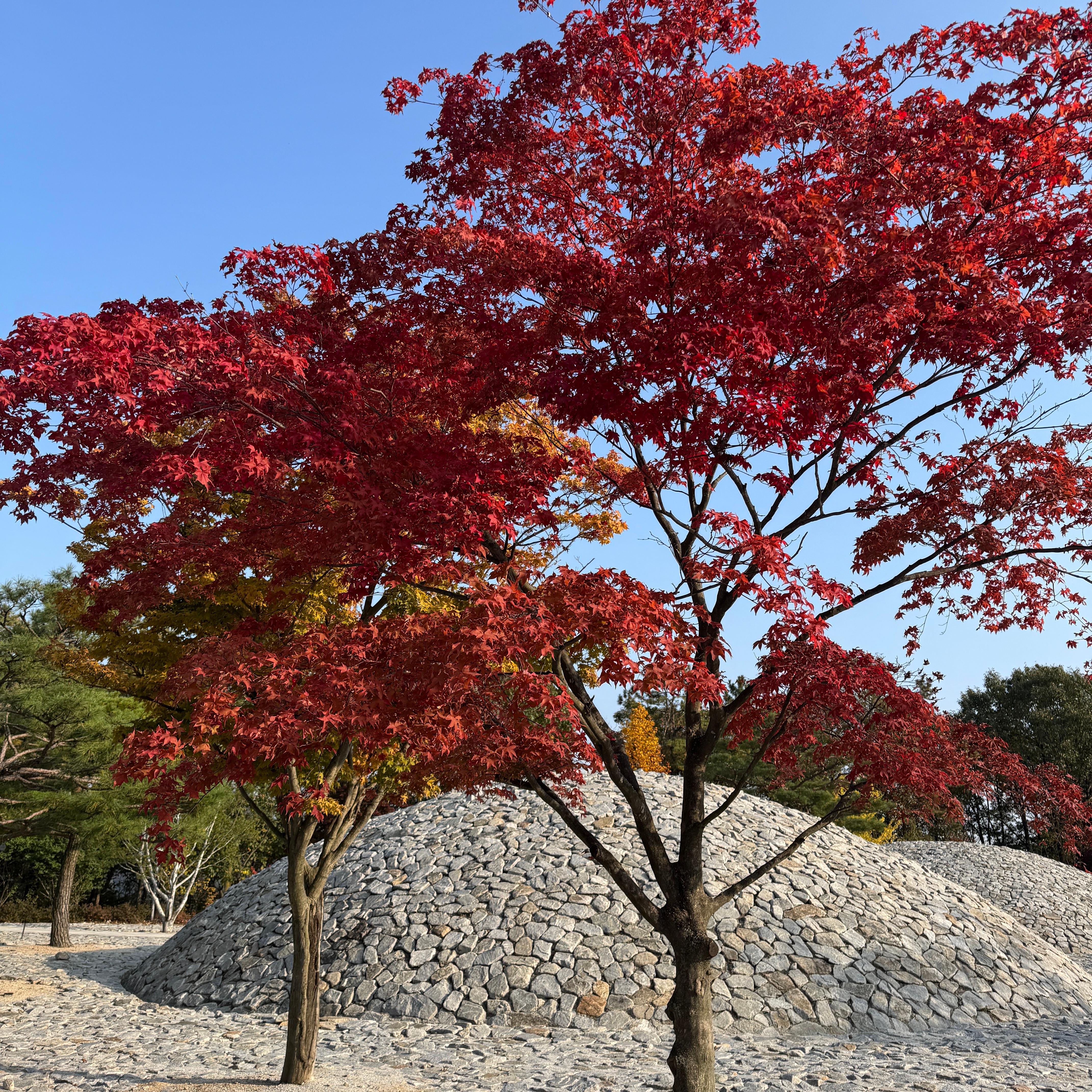 KakaoTalk_20251103_155522832_09.jpg 첨부 이미지