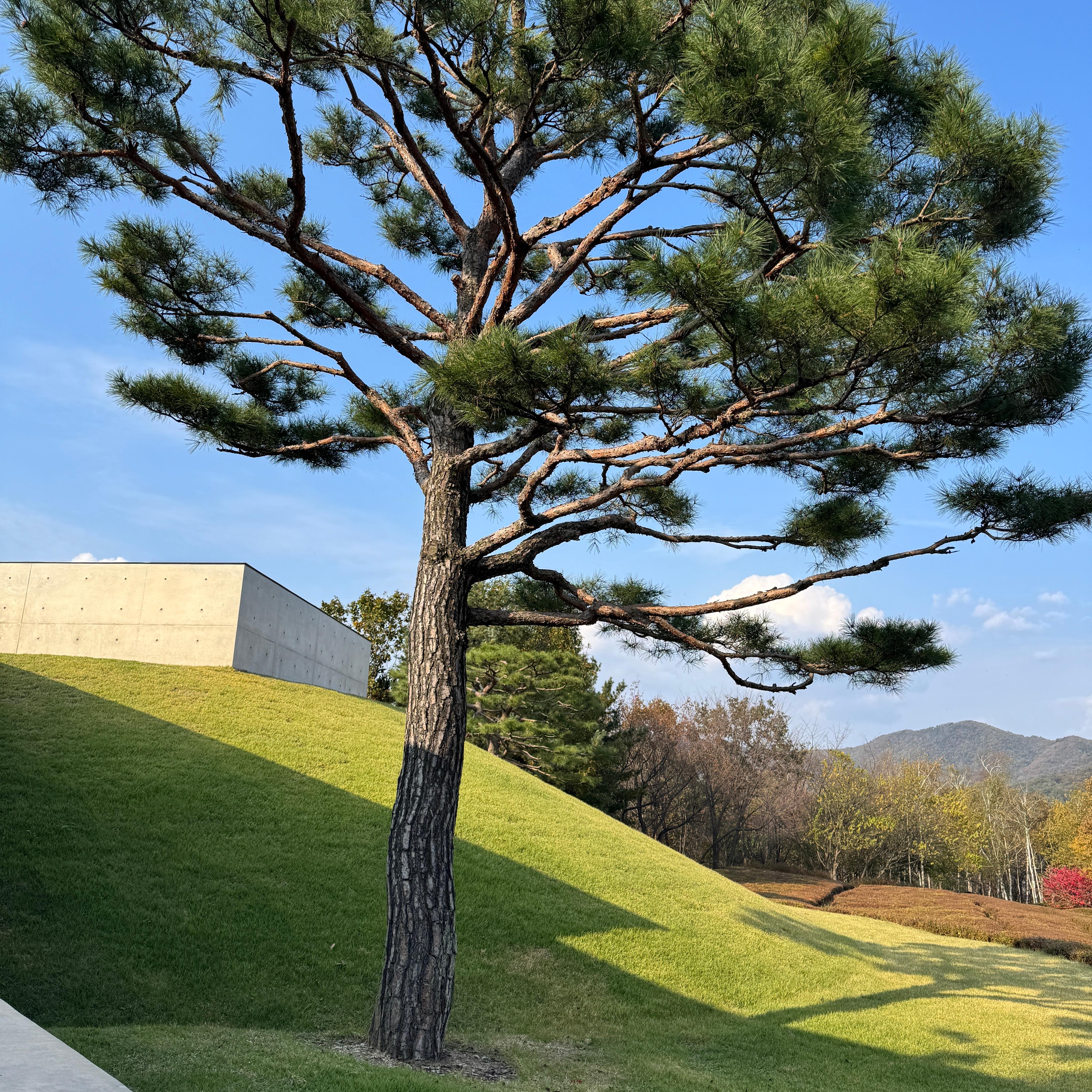 KakaoTalk_20251103_155522832_08.jpg 첨부 이미지