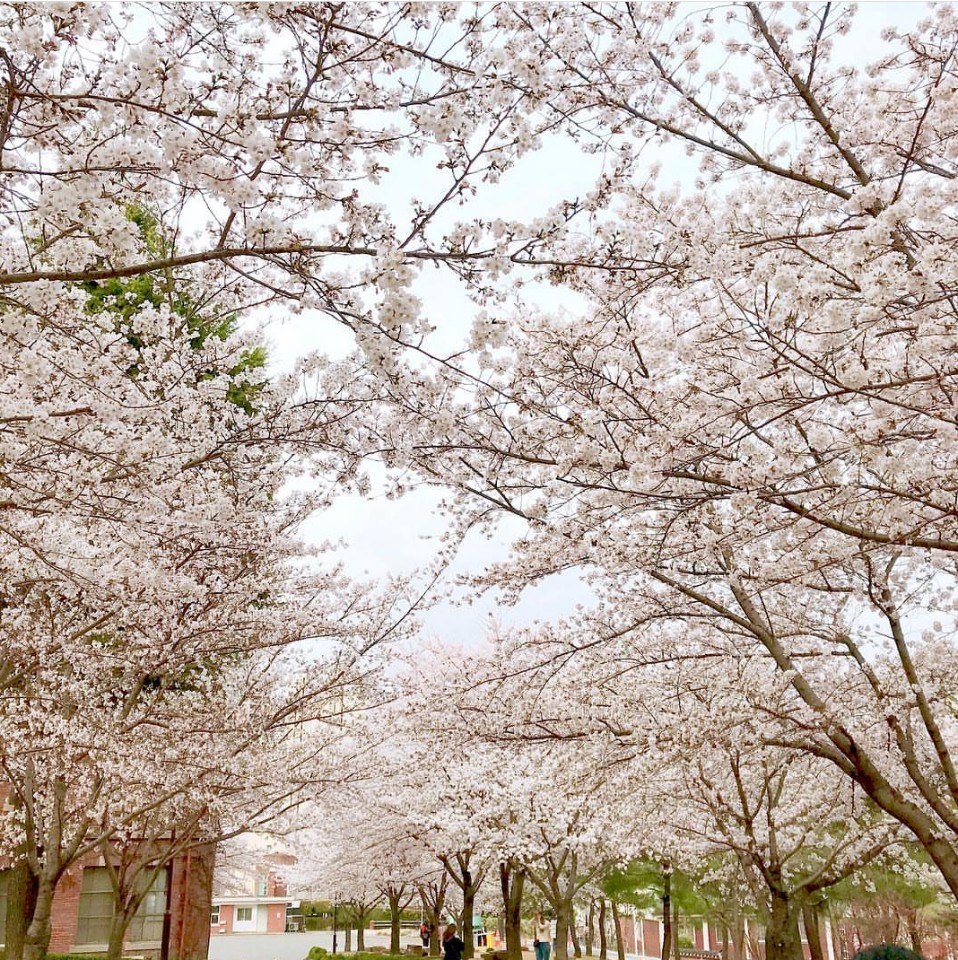 봄