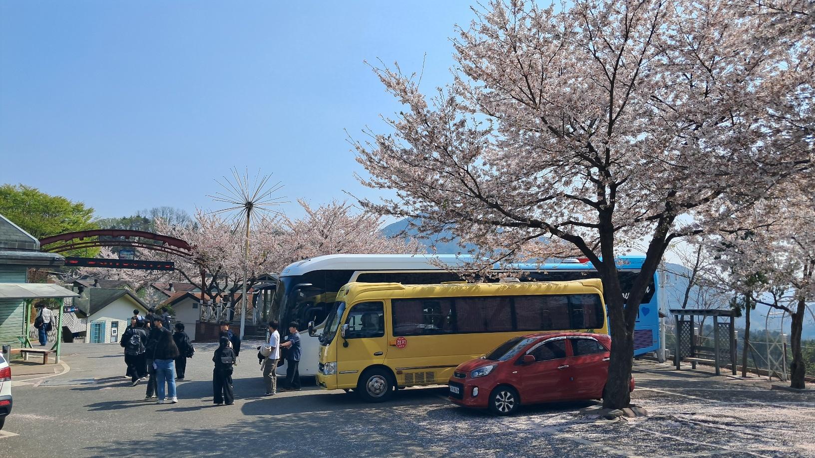2025mt
