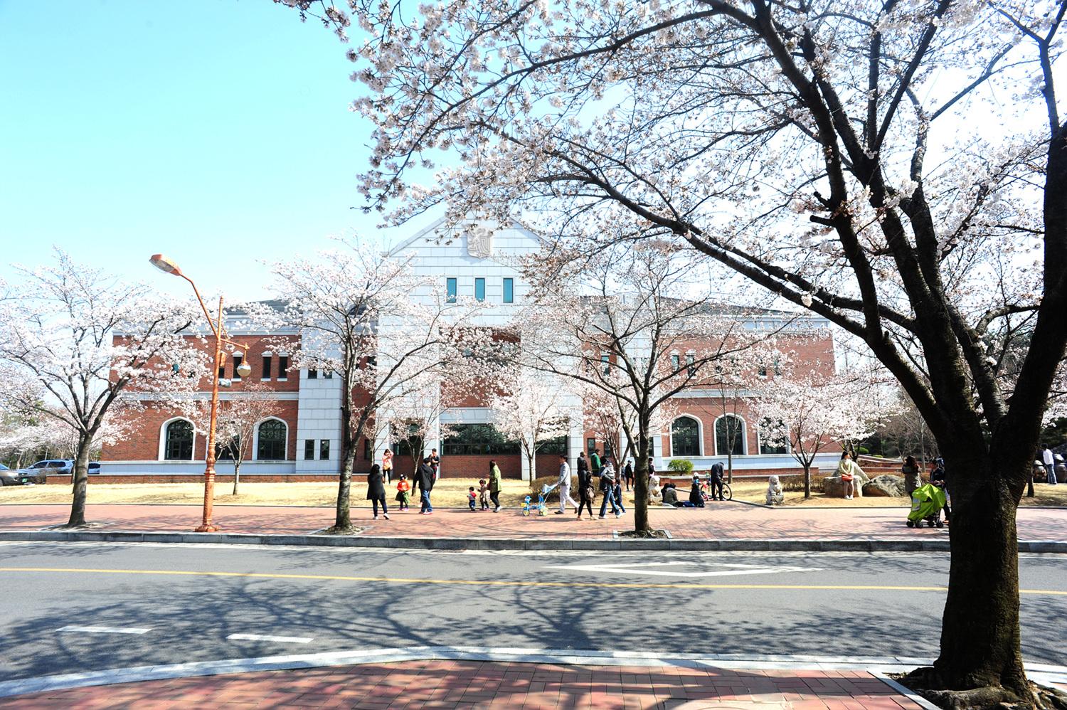 2013.04. 행소박물관 벚꽃 만개 기간 야간 특별 개관(2013년).jpg 첨부 이미지