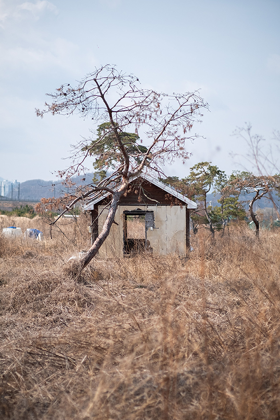 2.png 첨부 이미지