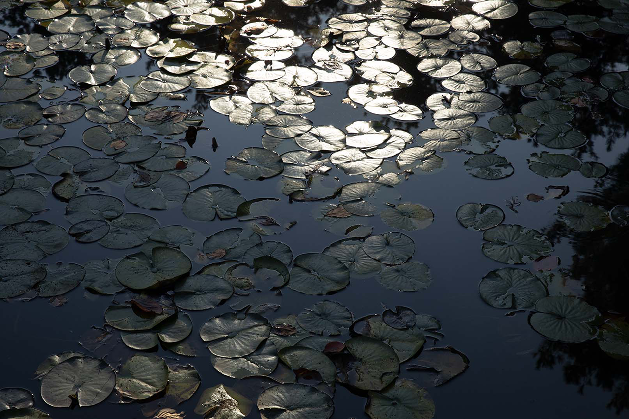 9.png 첨부 이미지