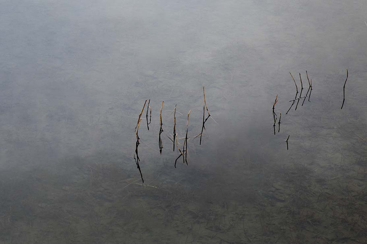 10.png 첨부 이미지