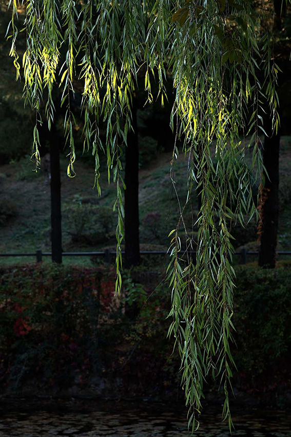 11.png 첨부 이미지