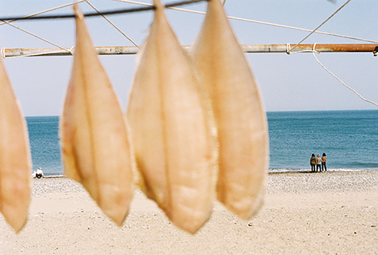 2.png 첨부 이미지