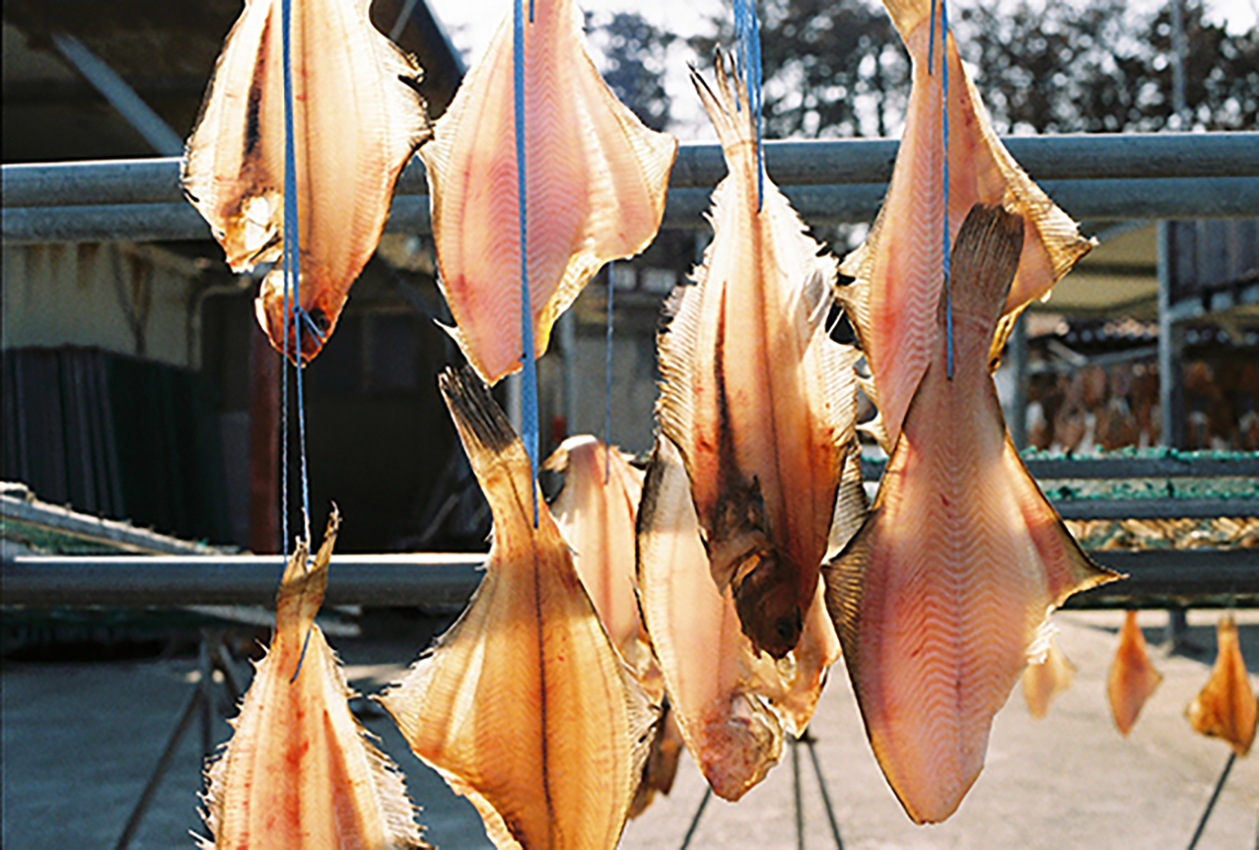 4.png 첨부 이미지