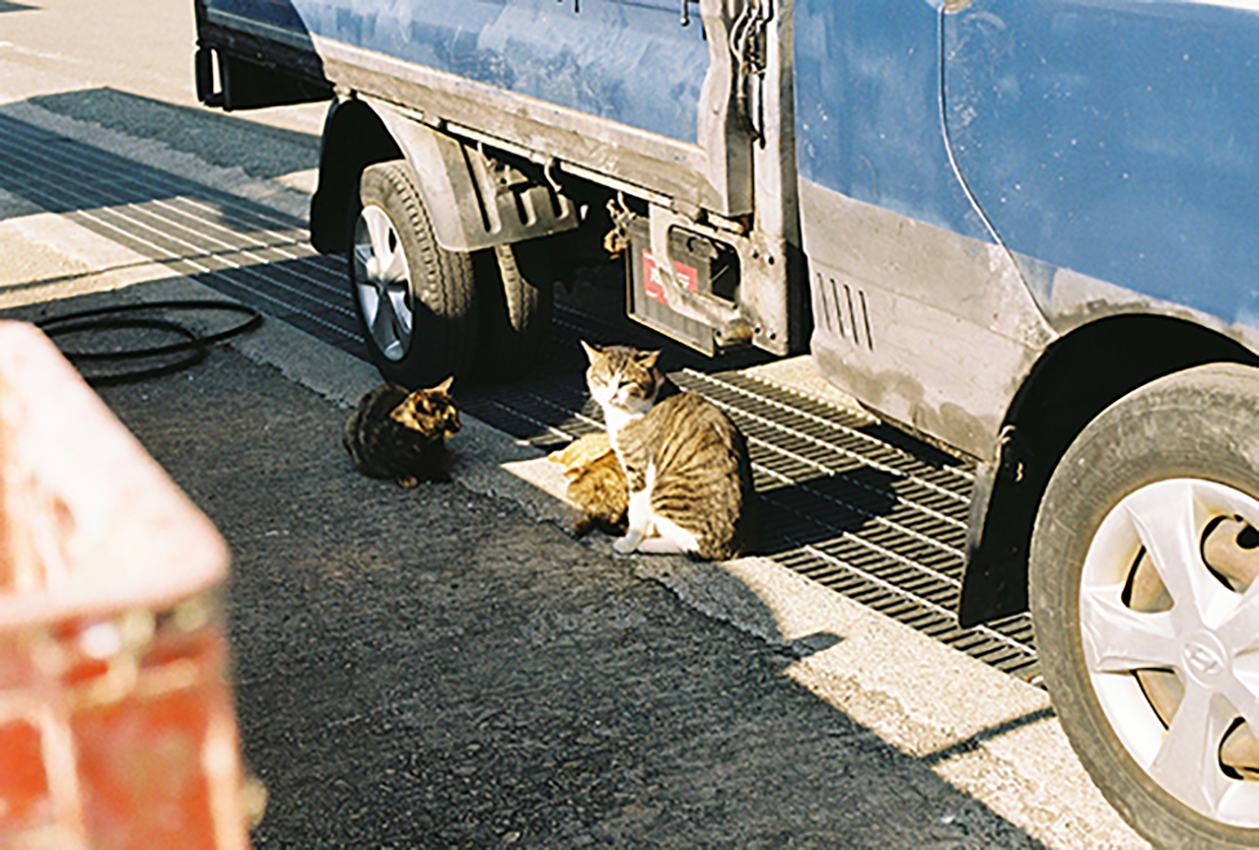 5.png 첨부 이미지