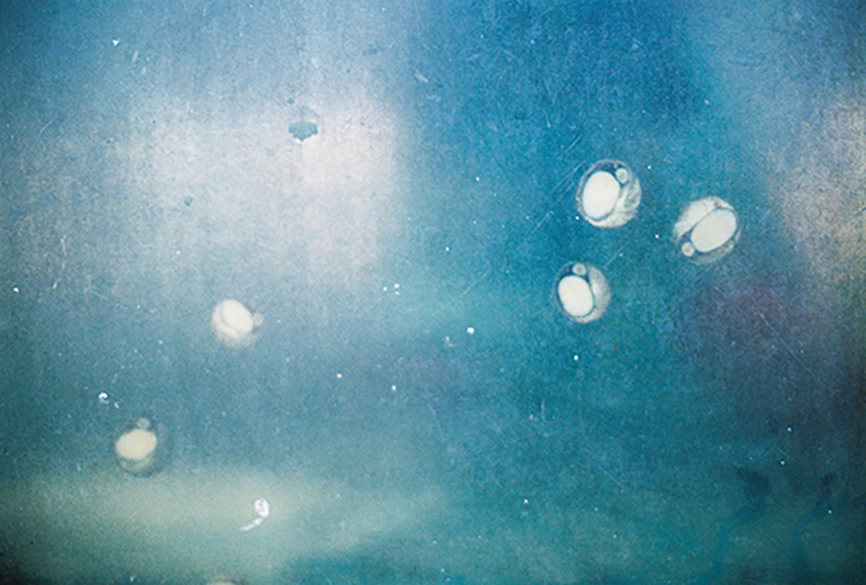 10.png 첨부 이미지