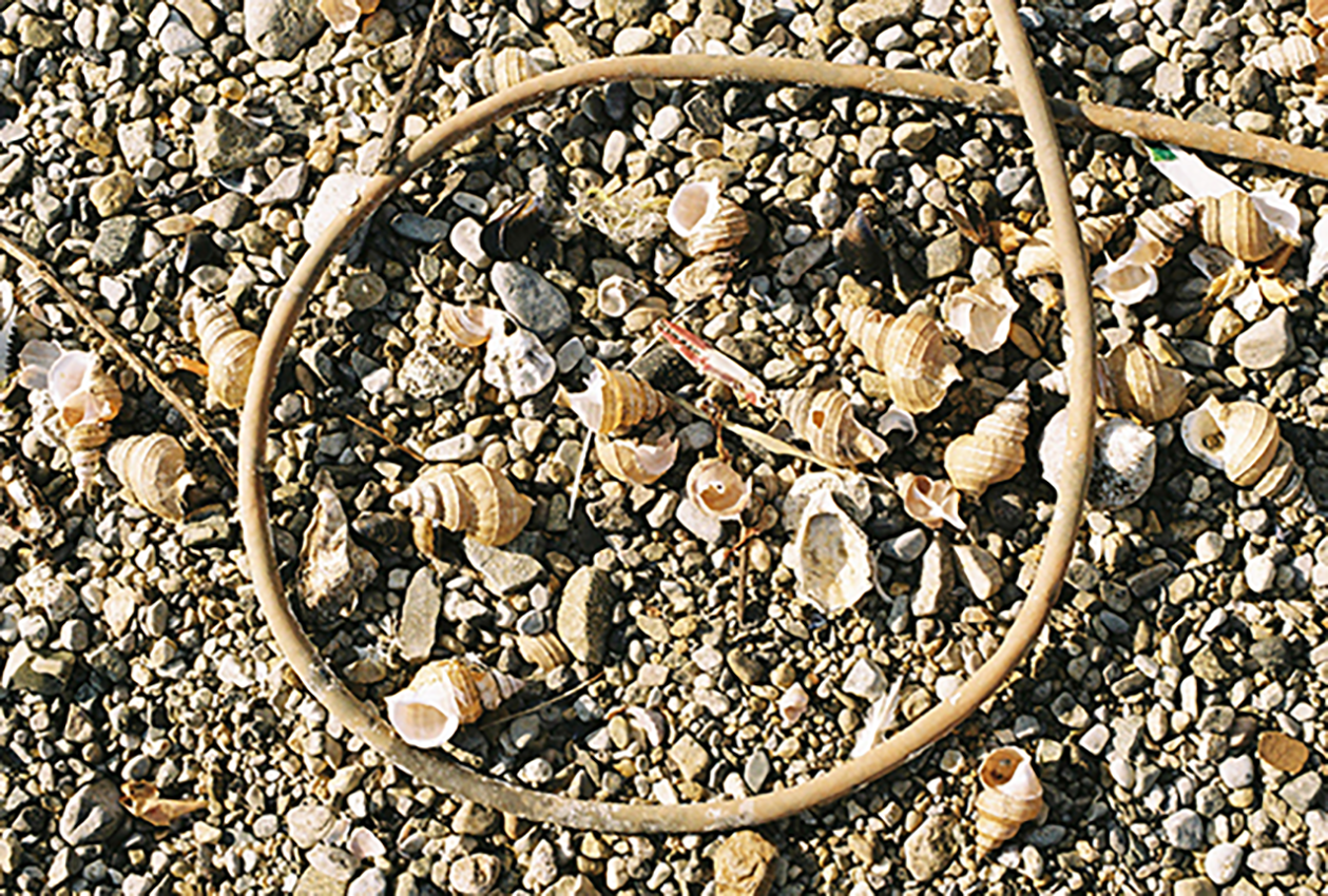 7.png 첨부 이미지