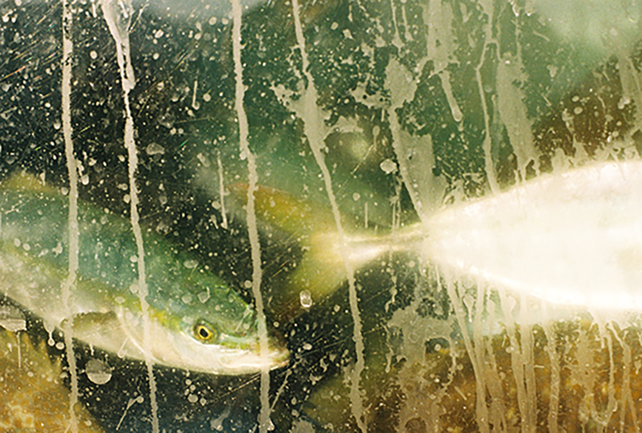 8.png 첨부 이미지