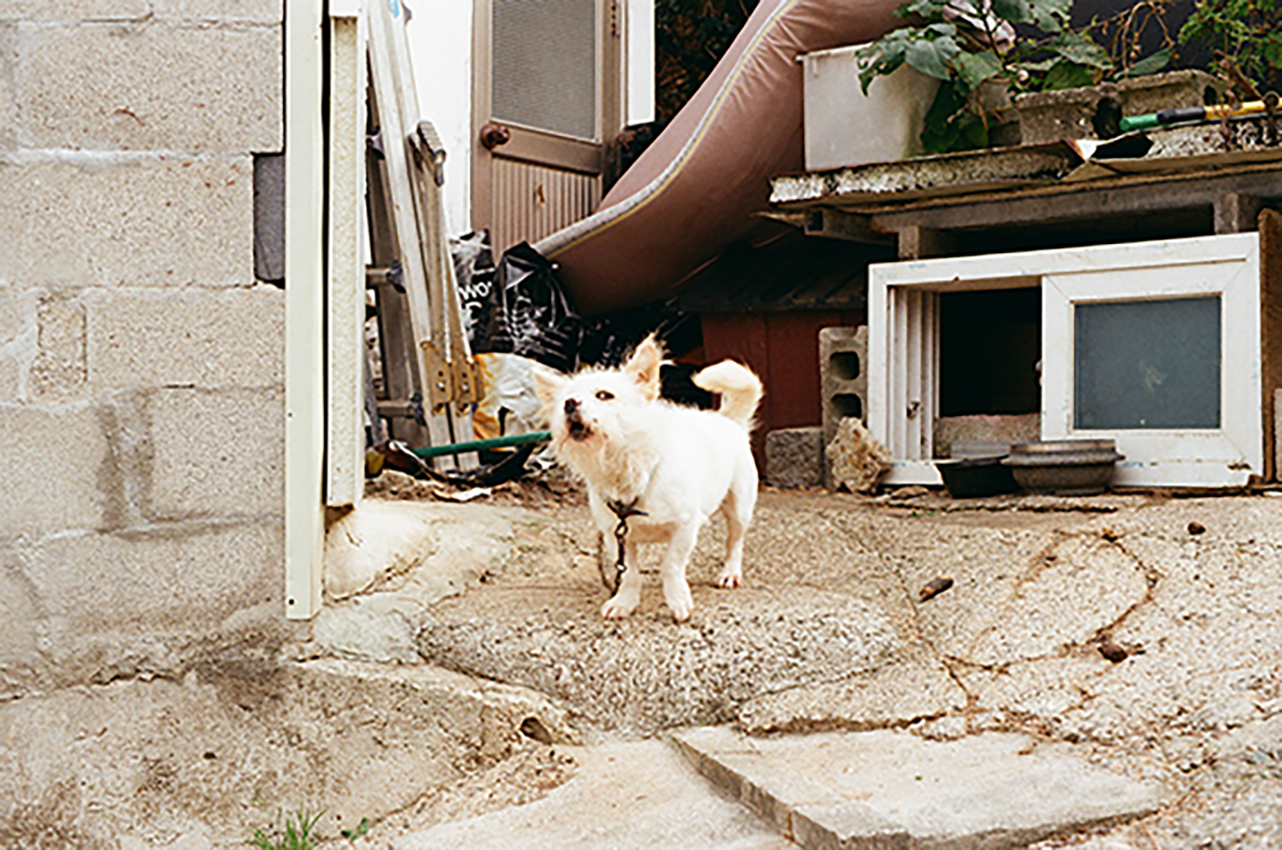 9.png 첨부 이미지