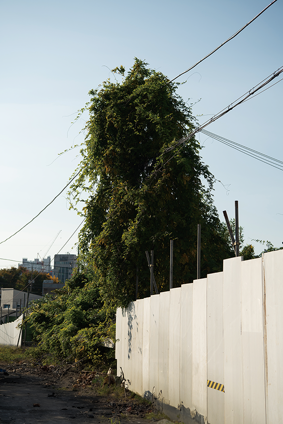 1.png 첨부 이미지