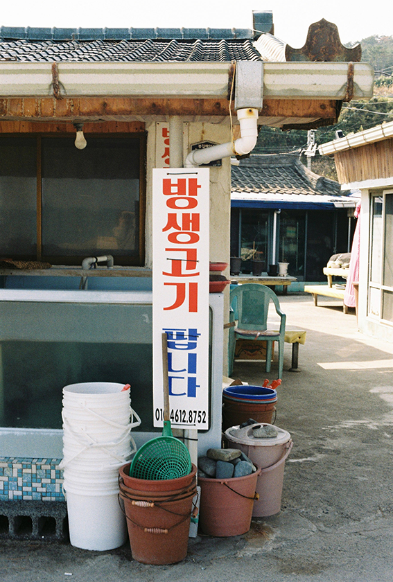 권하선