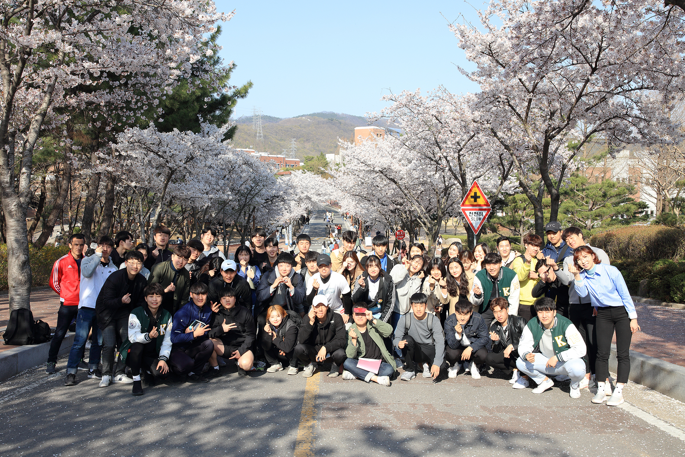 19년 1학기 스포츠사회학강좌 단체벛꽃사진
