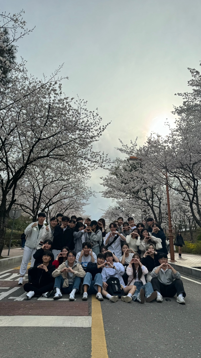 2024년 신입생 벚꽃구경