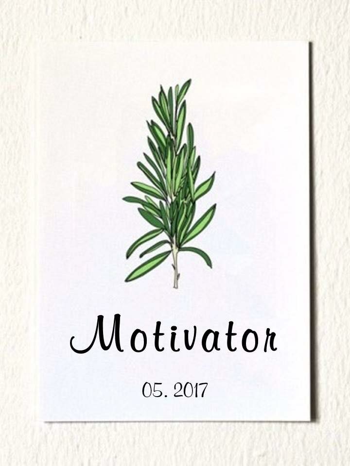 MOTIVATOR 2017. 05호